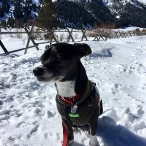 Meet your Posher, Tanya